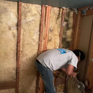 Behind the Walls Mold