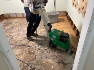 Mold Removal and Mold Remediation in Robbinsville