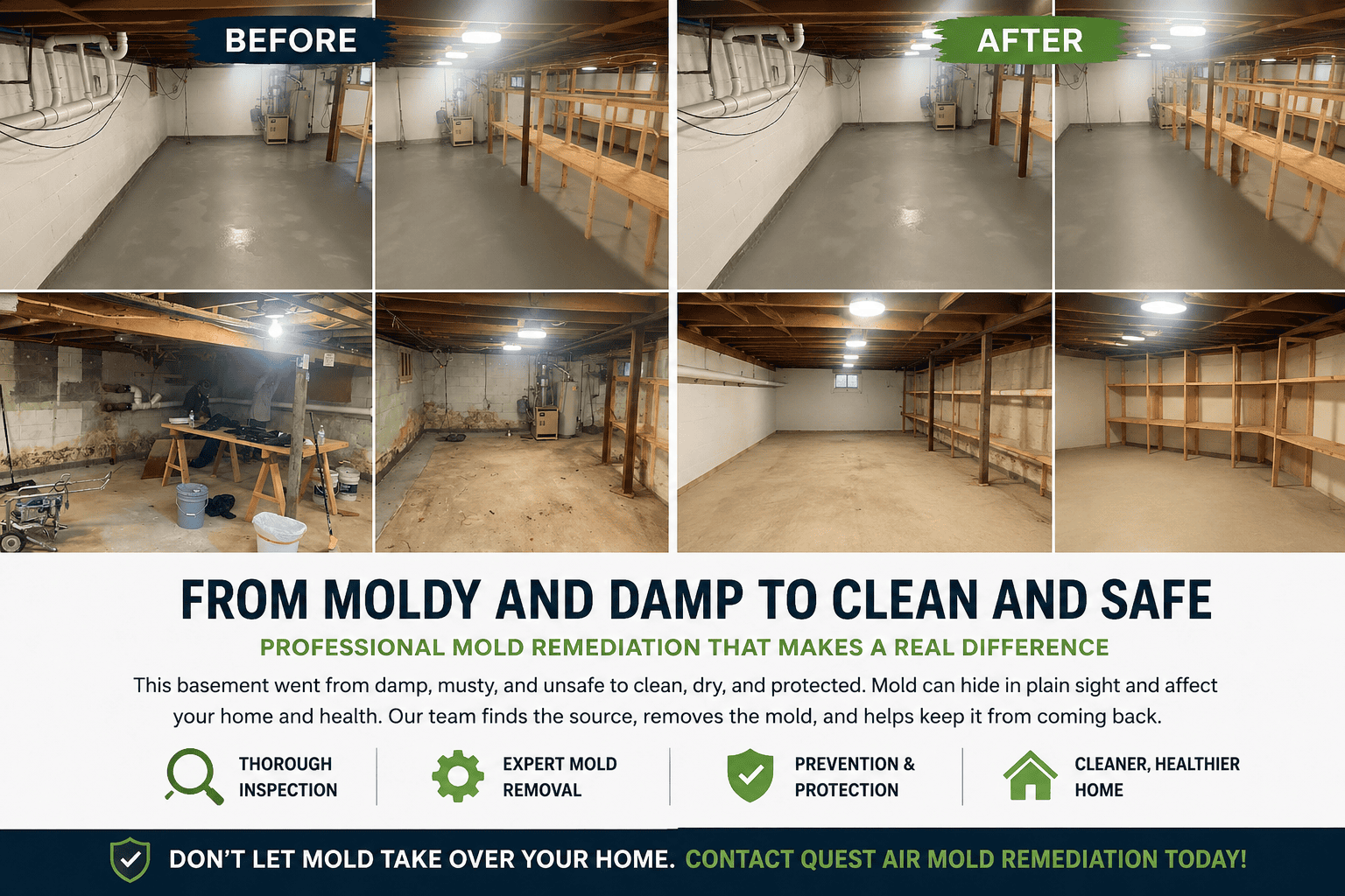 Signs Your Basement Needs Professional Mold Remediation