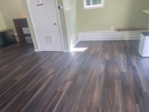 nj mold floor removal